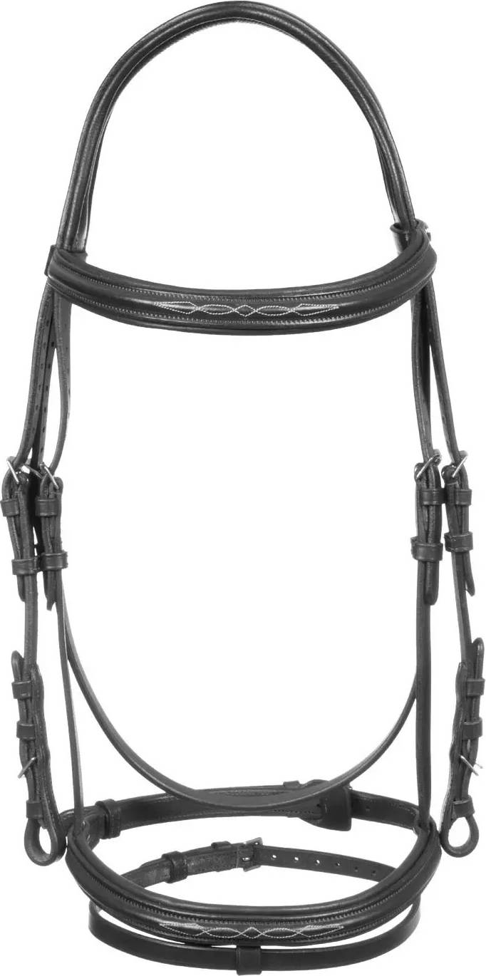 Leather Riding Bridle Fancy