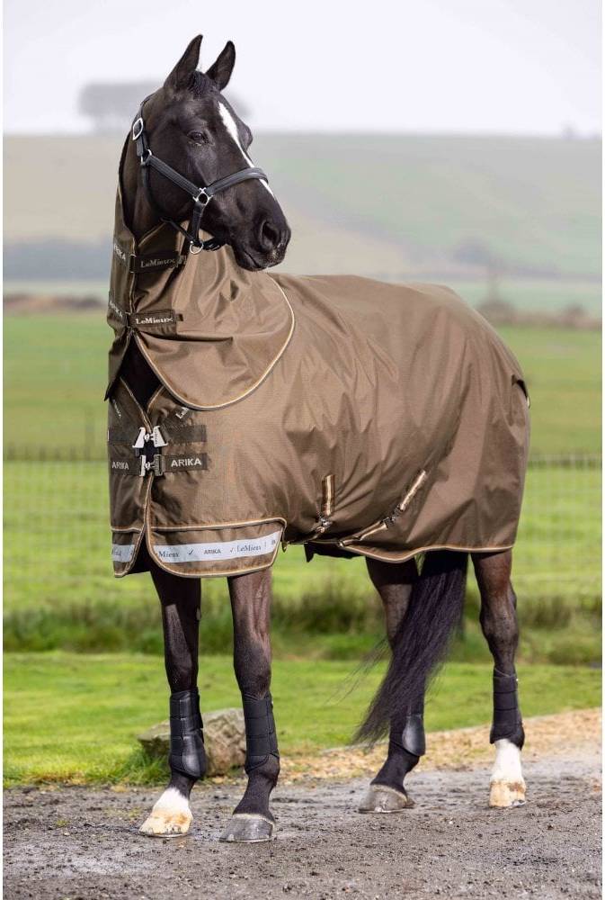 LeMieux Arika Ripstop Turnout Rug - Alpine Waterproof