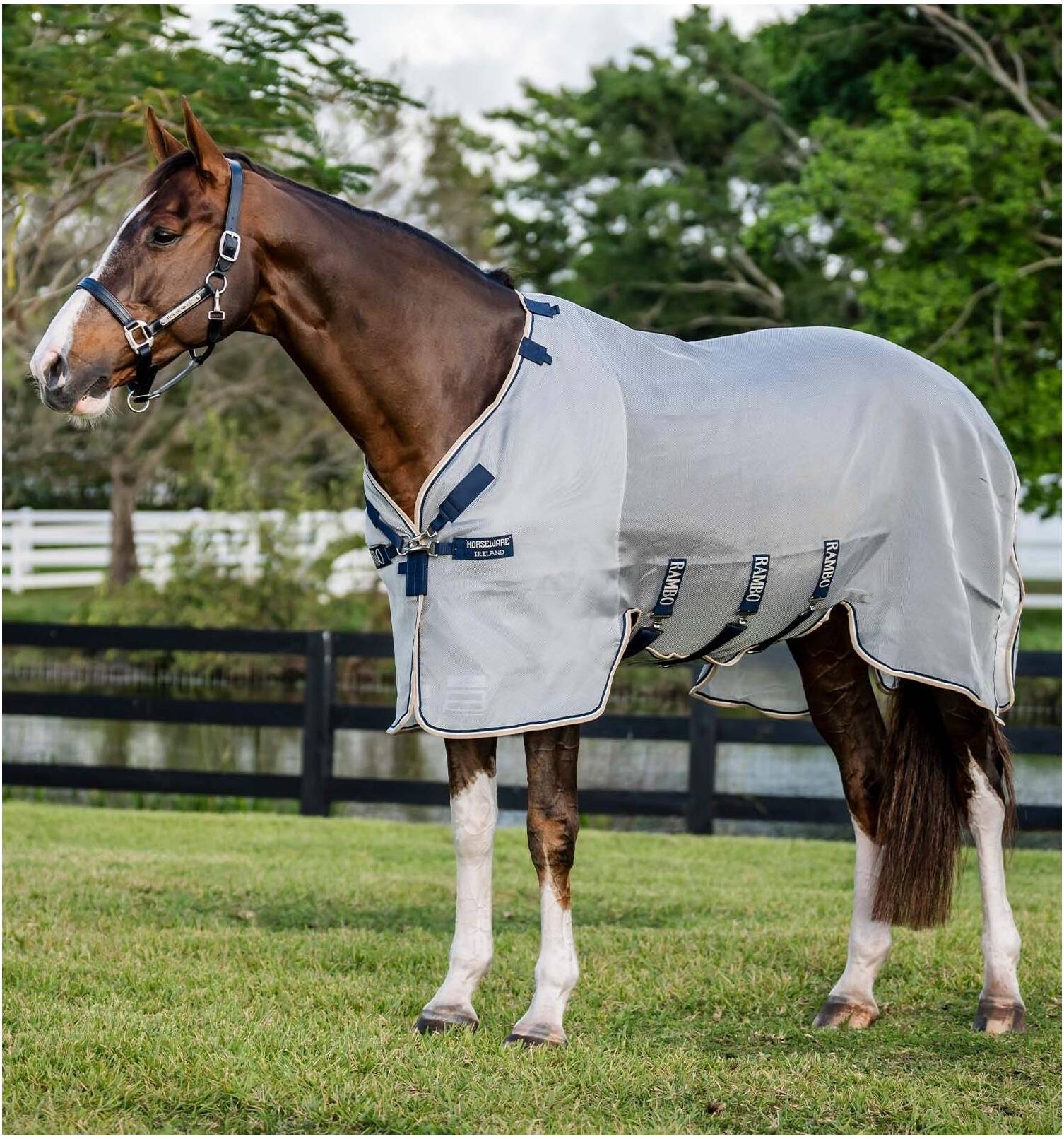 Horseware Fly Blanket Rambo