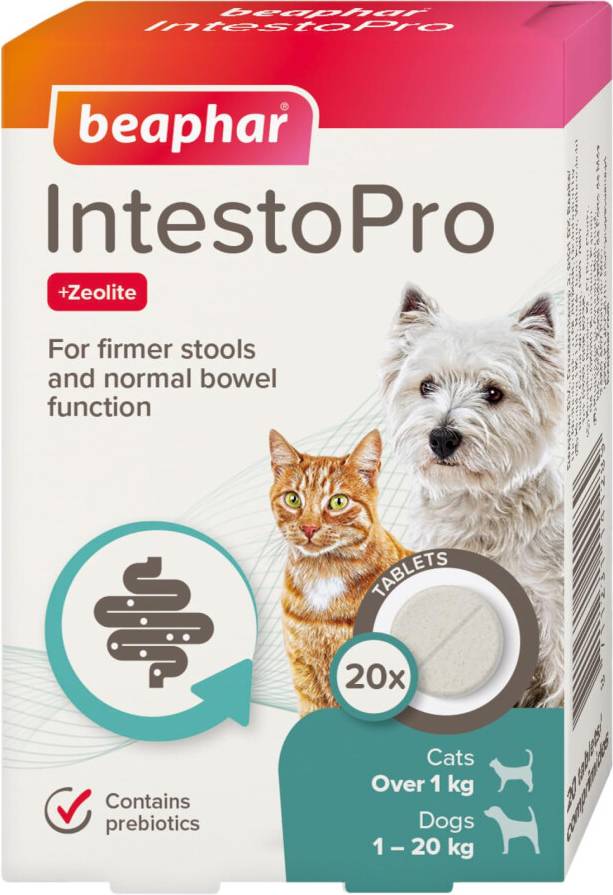 Beaphar IntestoPro Prebiotic Stool Firming Tablets