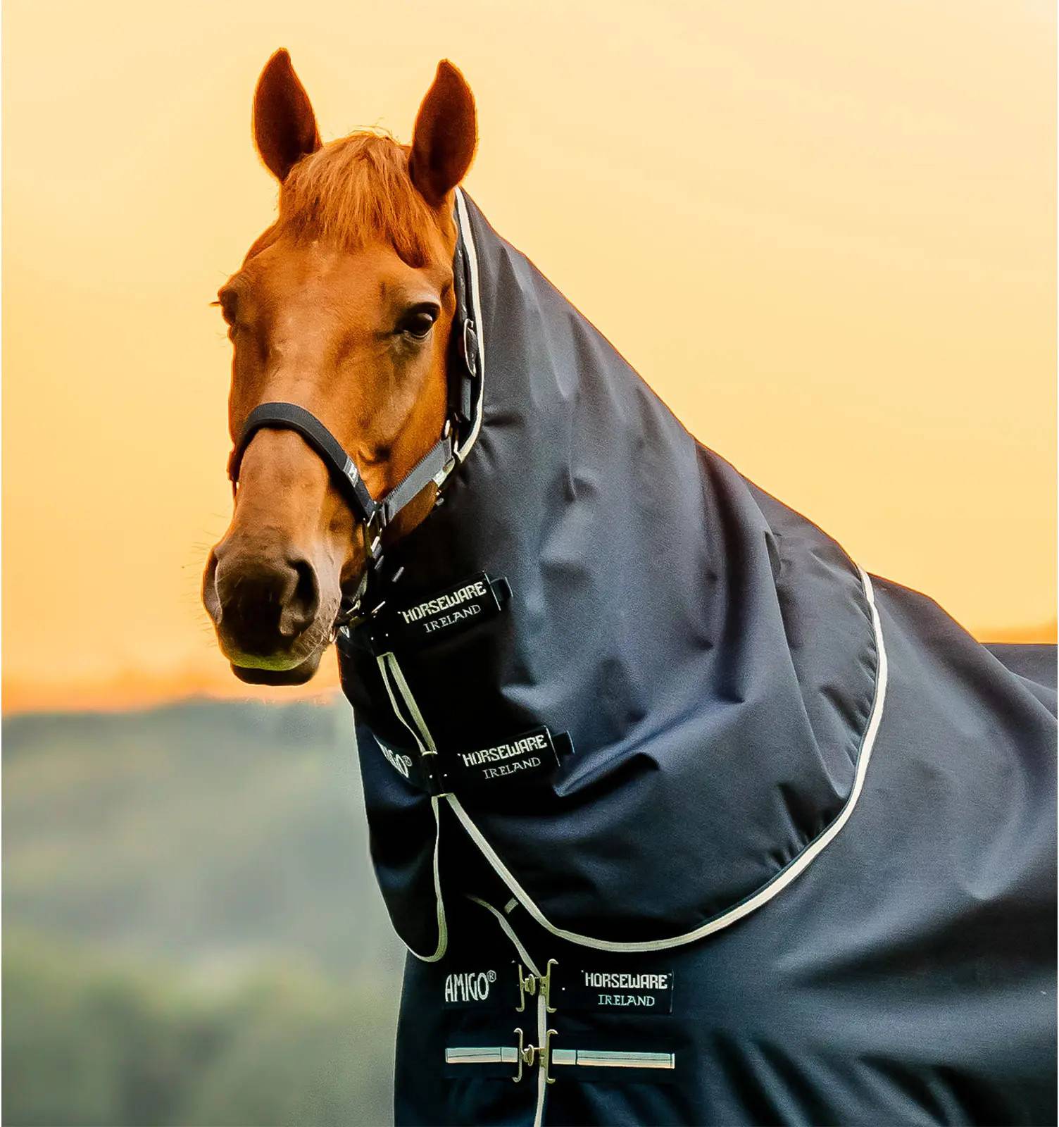 Amigo Ripstop Neck Rug 900D