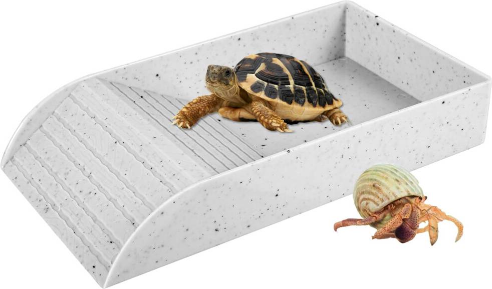 Eummy Tortoise Water Dish With Ramp