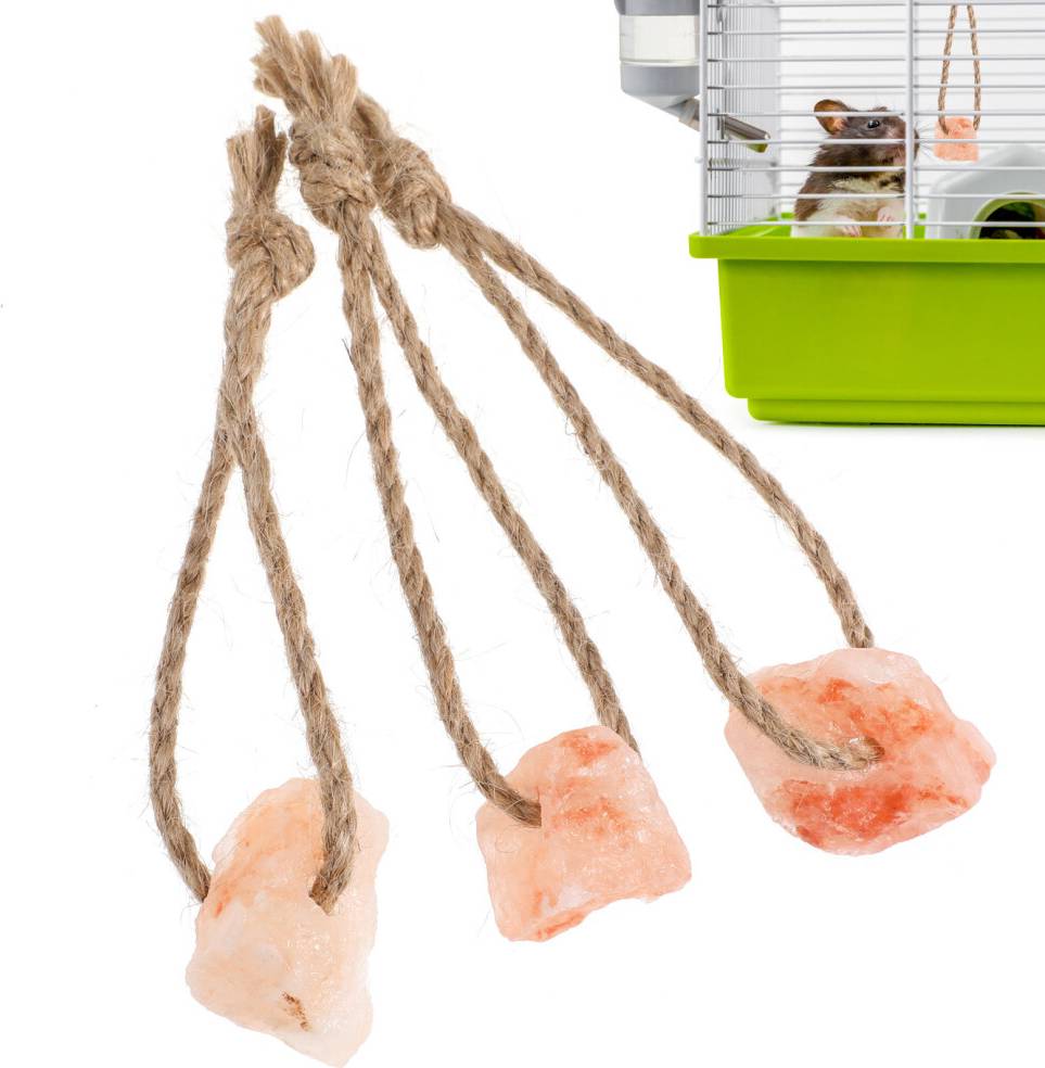 Totority 3Pcs Pet Salt Blocks With Hemp Ropes