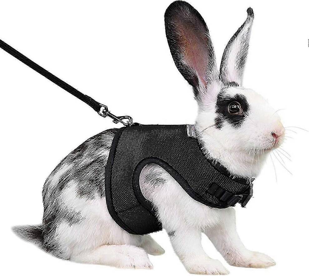 Kikidex Rabbit Harness Comfortable Adjustable Traction Tool Light Blue