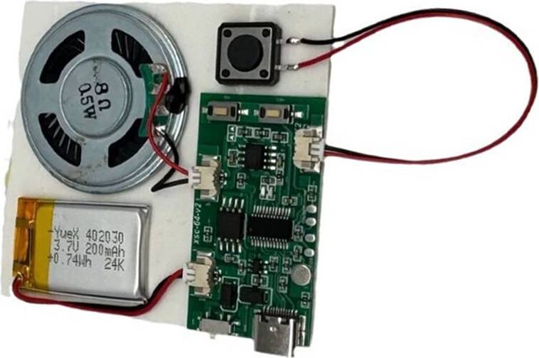 Torribaly DIY Recording Module USB Recordable