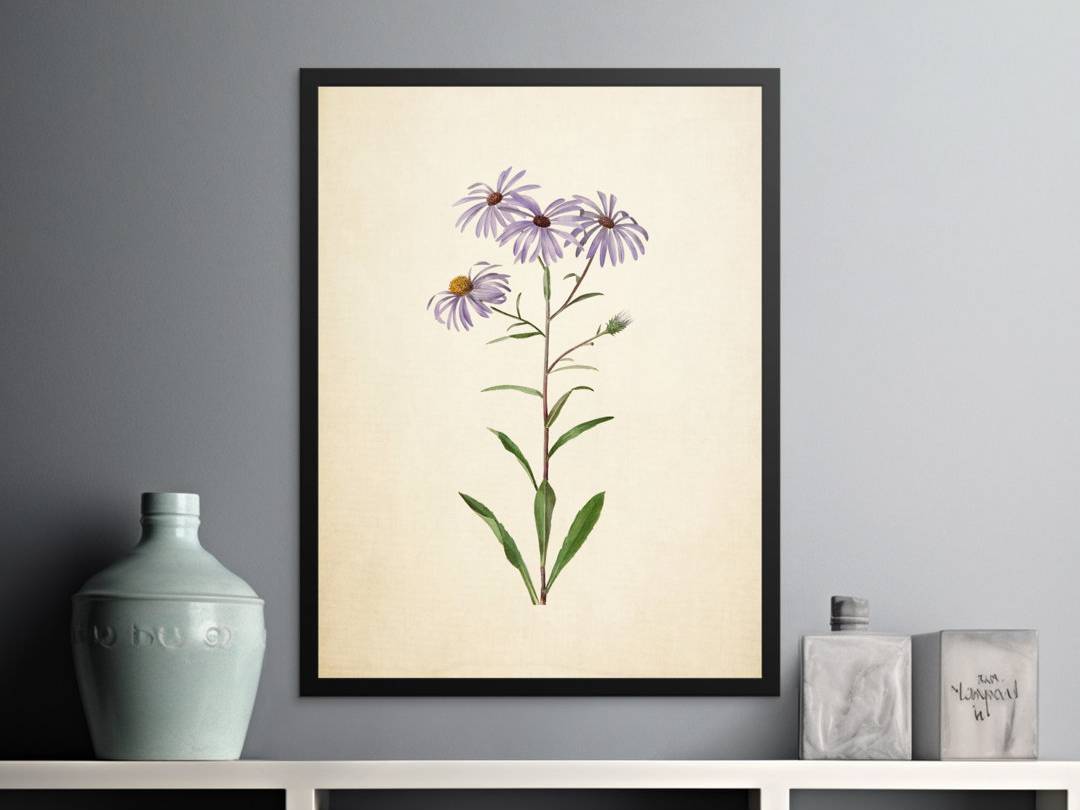 Lark Manor Roderick Print White 16x24 Wall Decoration