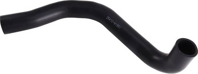 Typecat Radiator Lower Hose 25412-H1901