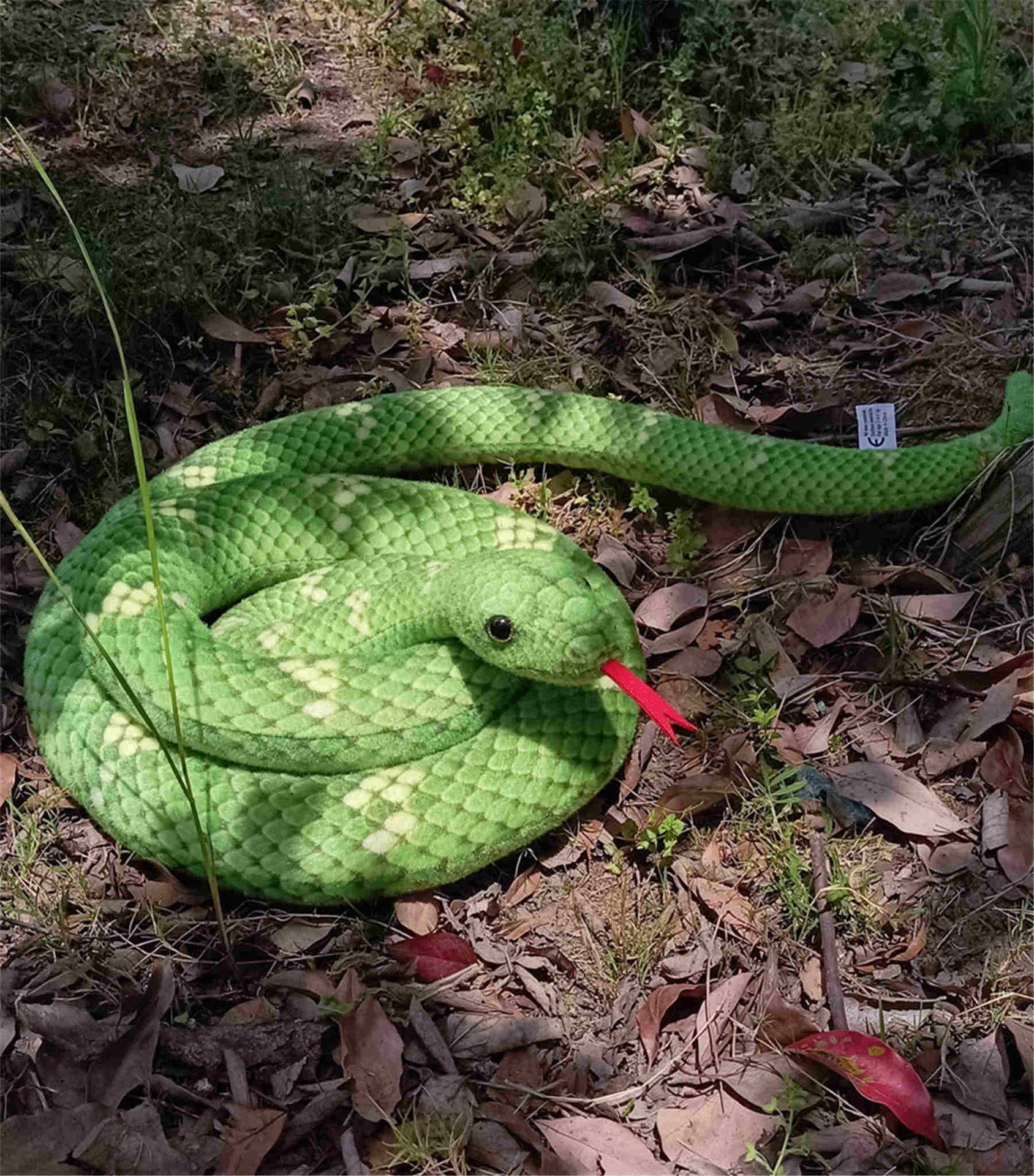 Simulering Slange Stor Python Falsk Slange