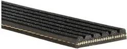 Gates 6PK975EST Micro-V Ribbed Belt