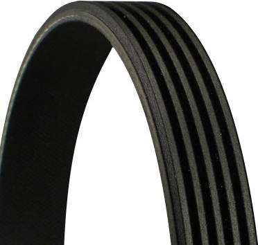 Contitech 5PK1975 V-Ribbed Belt