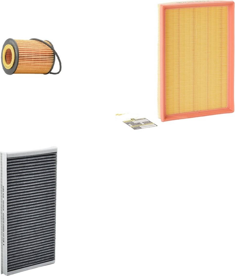 Ridex Plus 4055F3582P Filter Set