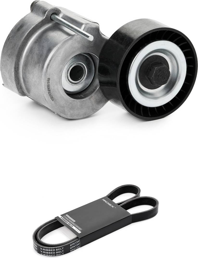 Ridex 542R1250 V-Ribbed Belt Set