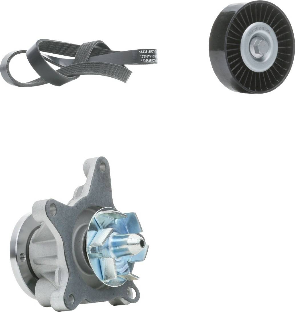 Ridex 542R0601 V-Ribbed Belt Set
