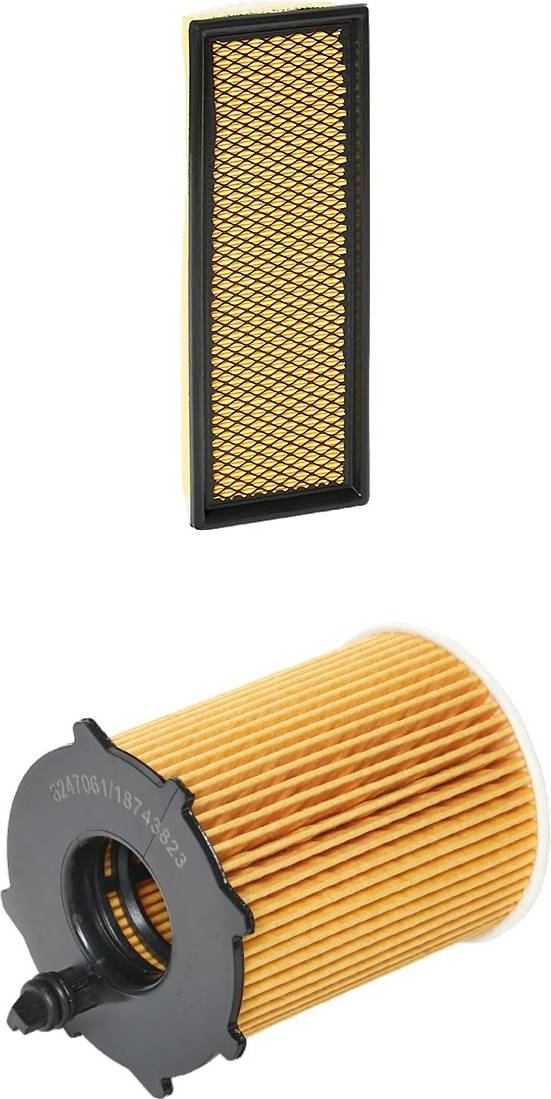 Ridex Plus 4055F0985P Filter Set
