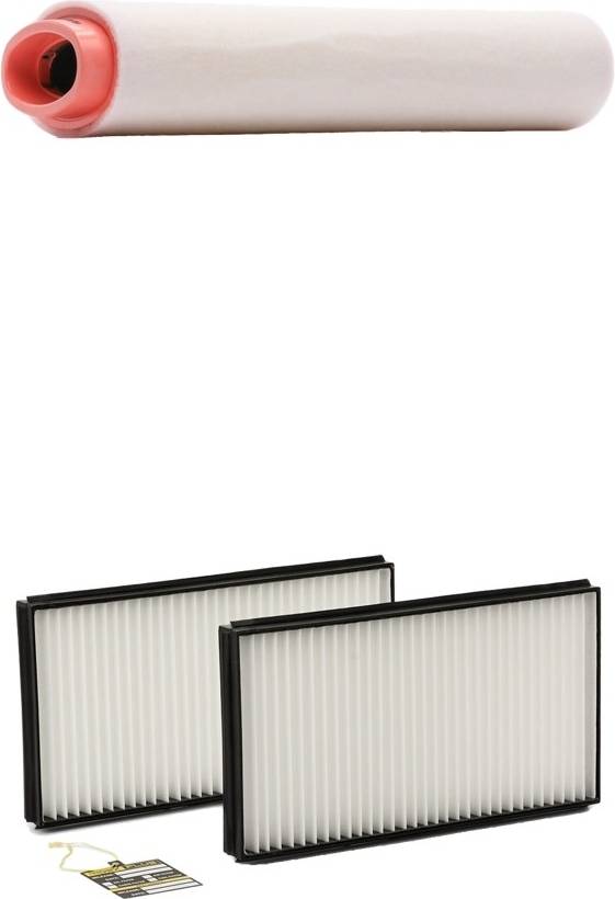 Ridex Plus 4055F34623P Filter Set