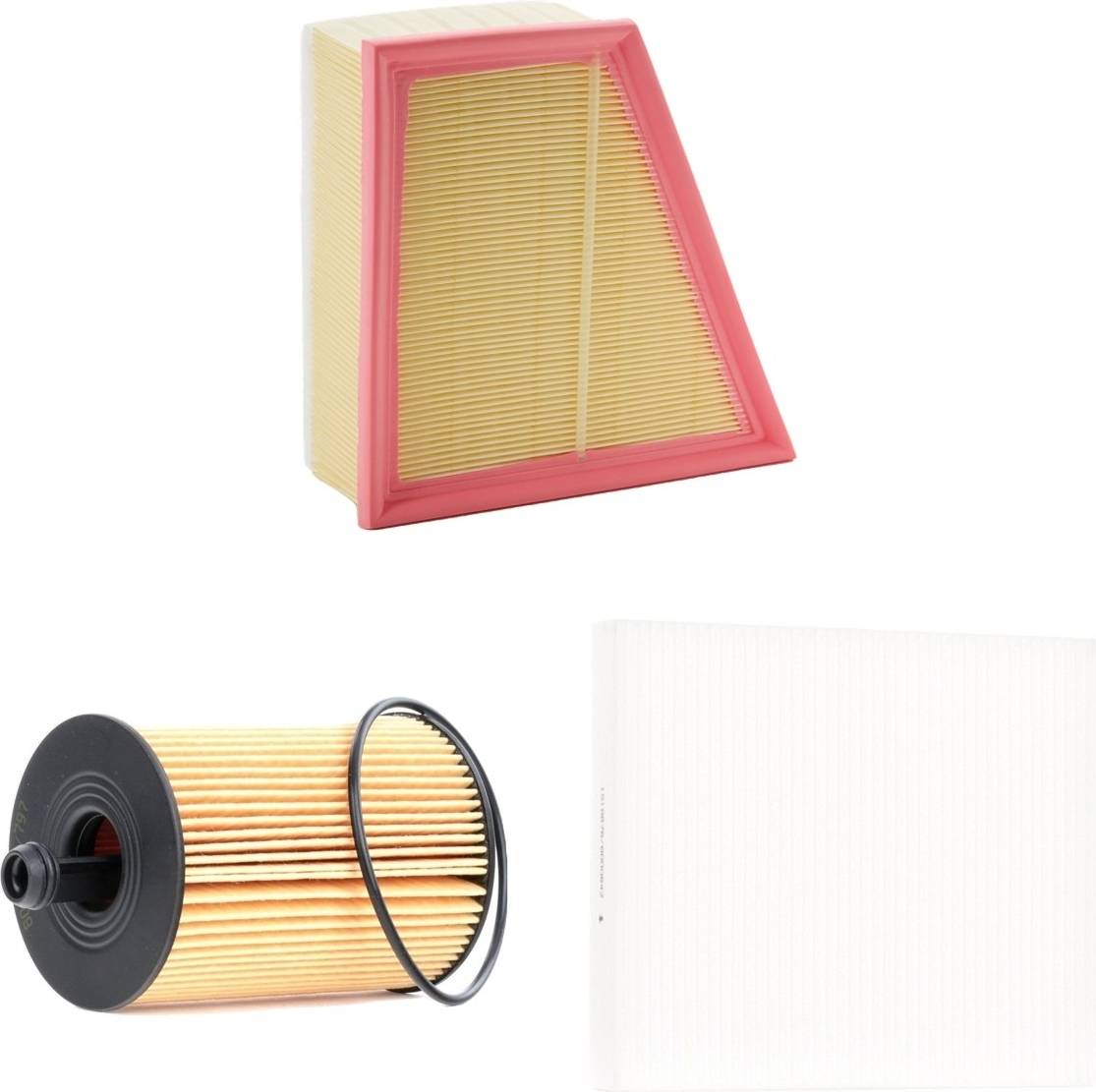 Ridex 4055F2829 Filter Set