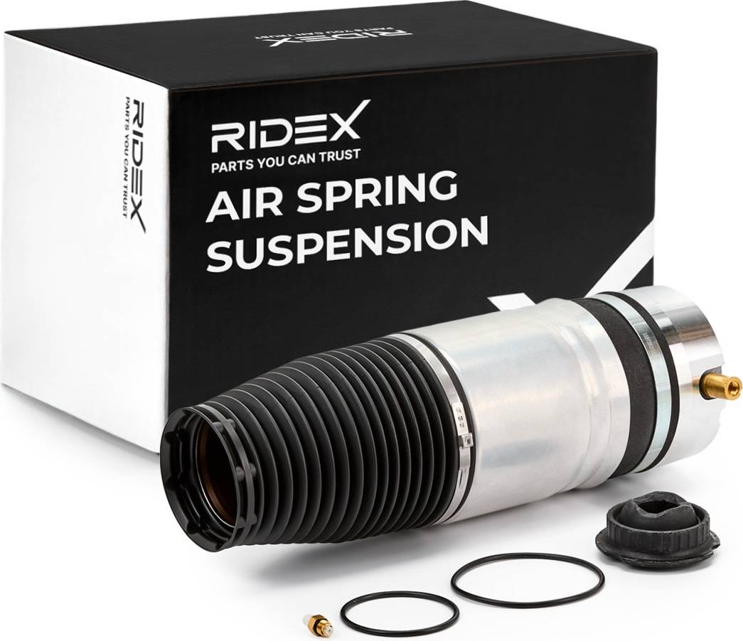 Ridex Air Spring Suspension Rear