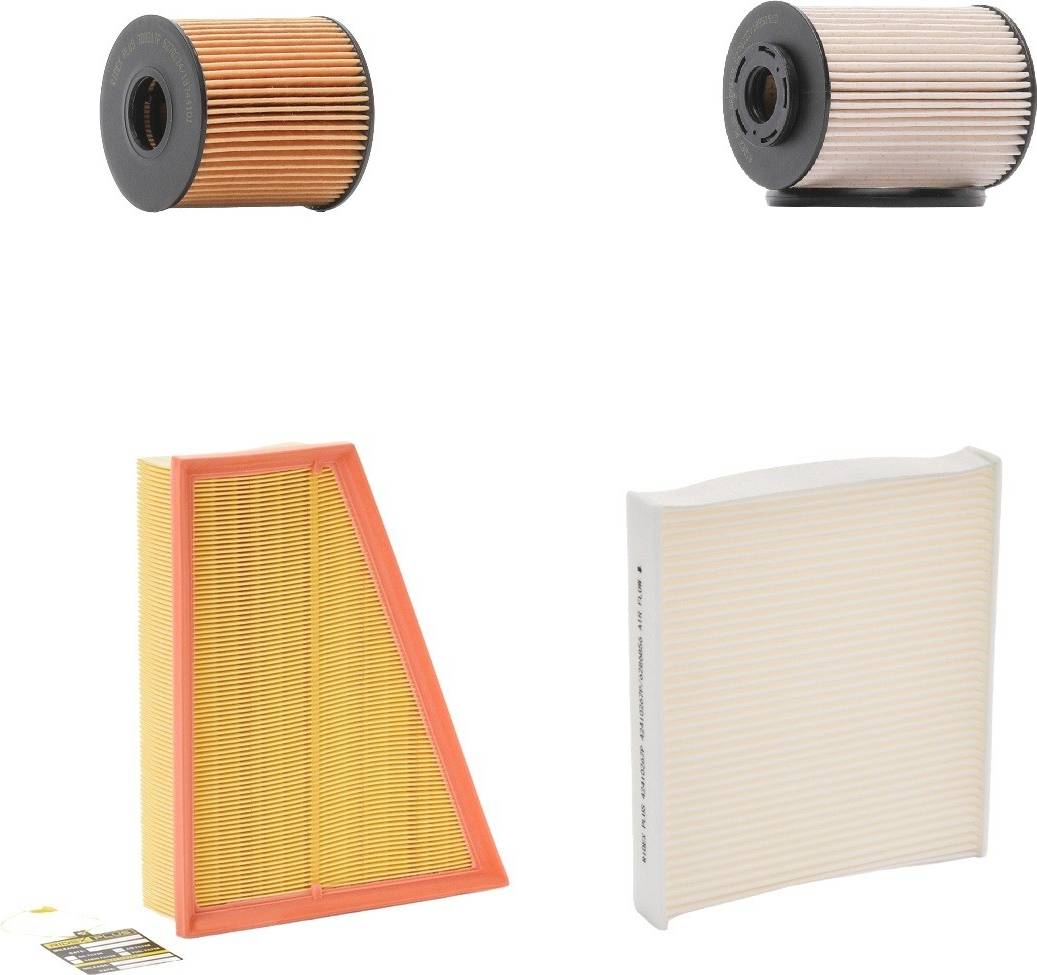 Ridex Plus 4055F26432P Filter Set