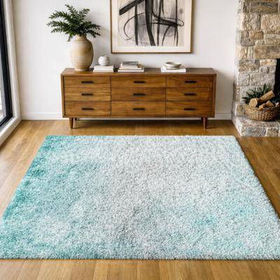 Addison Rugs Premium Washable Super Soft Ombre Solid Dream Shag Rug