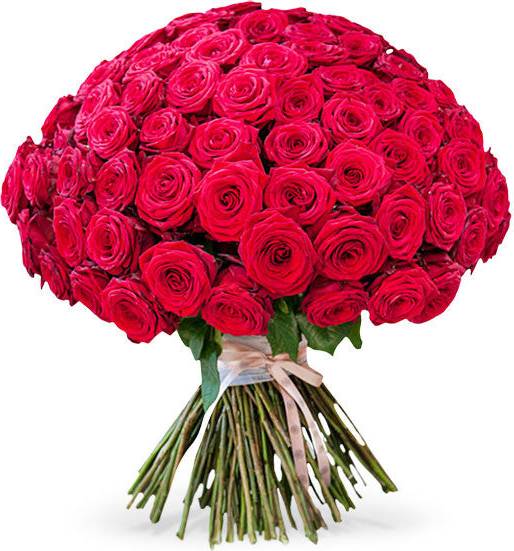 Flower Station Boulevard Reds - 151 Roses