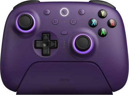 Viewsonic 8Bitdo Ultimate 2 Gaming Controller 8SPEED - Purple