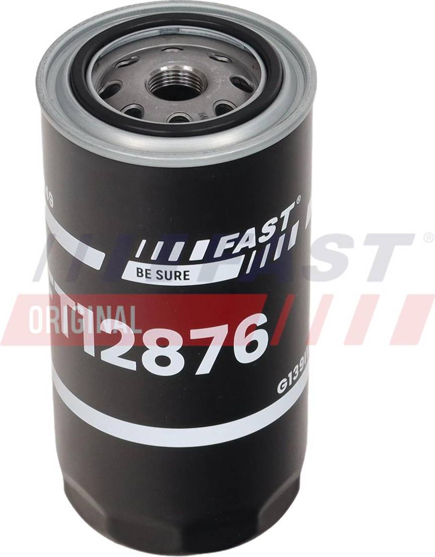 Fast FT12876 Fuel Filter