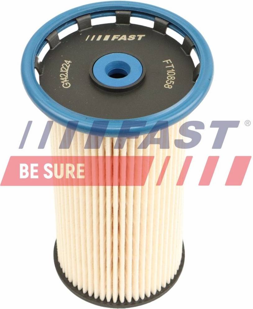 Fast FT10858 Fuel Filter Insert