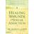 Healing the Wounds of Sexual Addiction (Paperback)