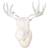 Northern Lighting Moo Wall light