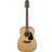 Takamine GD10-NS