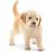Schleich Golden Retriever valp 16396