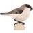 Wildlife Garden Deco Bird Entita Dekorationsfigur