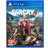 Far Cry 4 (PS4)