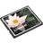 Kingston Standard Compact Flash 1GB