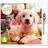 Nintendogs + Cats: Golden Retriever & New Friends (3DS)