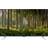 Panasonic Viera TX-55CX400B