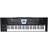 Roland BK-3