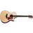 Taylor 814ce