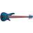 Ibanez ANB306