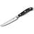 Victorinox 7.7203.12G Stekkniv 12 cm