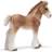 Schleich Clydesdaleföl 13671