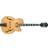 Ibanez PM200