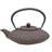 Satake Teserie Sendai Teapot 0.8L Tekande 0.8L