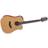 Takamine GD20CE