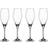 Villeroy & Boch La Divina Champagne Glass 26cl 4pcs