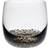 Denby Jet Tumbler 30cl 2pcs