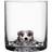 Kosta Boda New Friends Tumbler 40cl