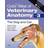 Color Atlas of Veterinary Anatomy, Volume 3, The Dog and Cat (Häftad, 2009)