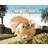 A Guinea Pig Pride & Prejudice (Inbunden, 2015)