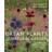 Dream Plants for the Natural Garden (Paperback, 2013)